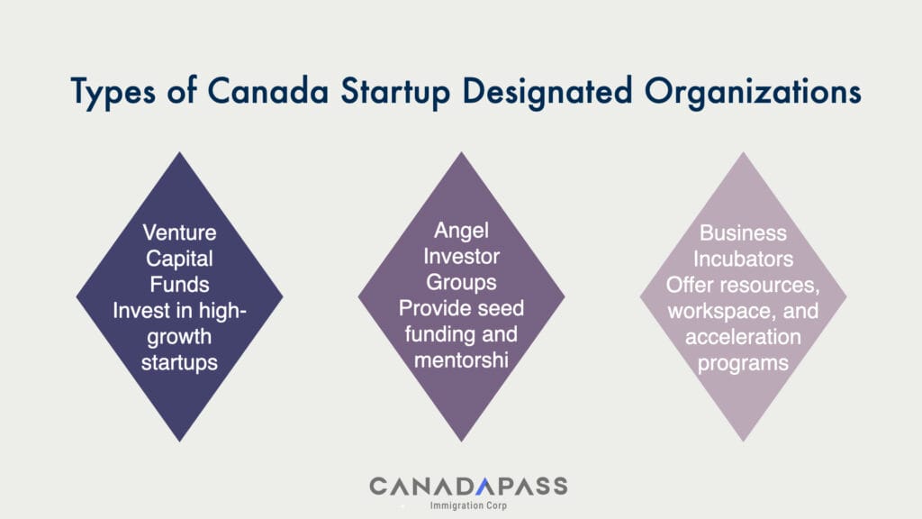 Infographic showing types of Canada Startup Designated Organizations: VCs, angels, and incubators.