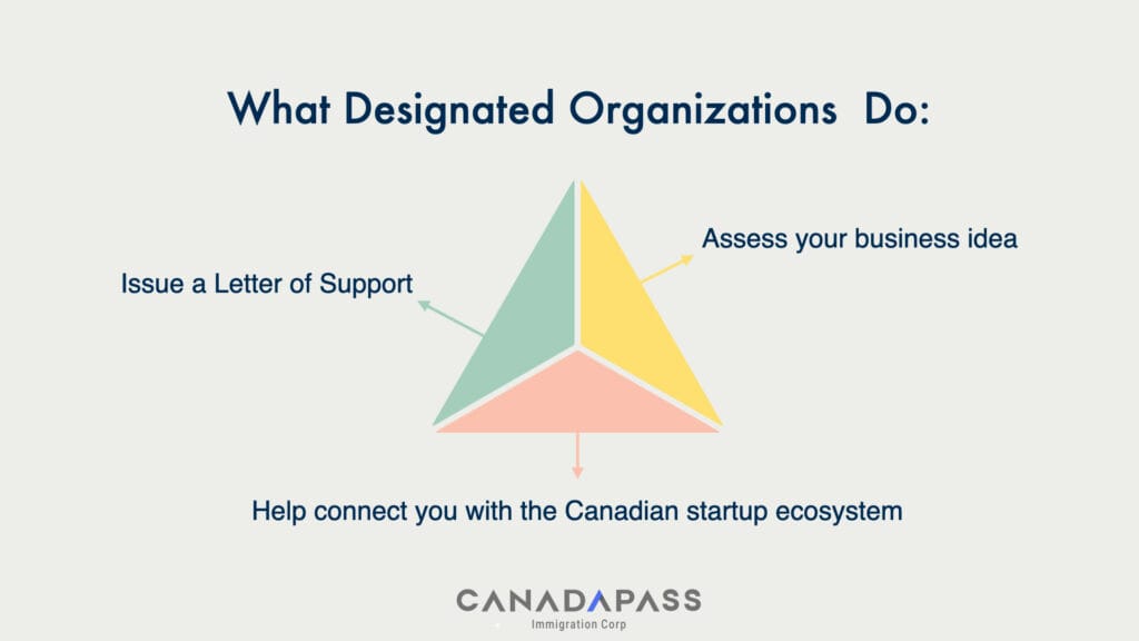 Infographic showing Canada Startup Designated Organizations and their roles.