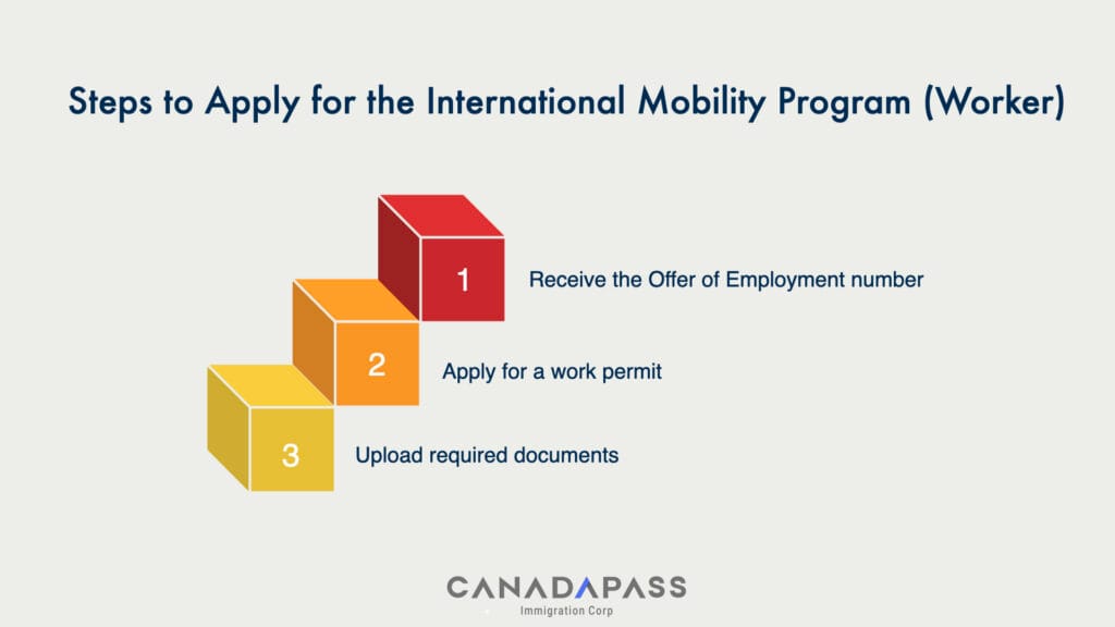 How to Apply for the International Mobility Program – Worker step-by-step infographic