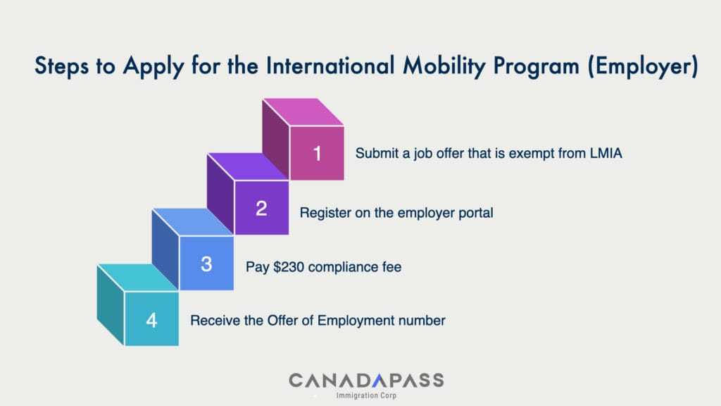 How to Apply for the International Mobility Program – Employer step-by-step guide infographic.